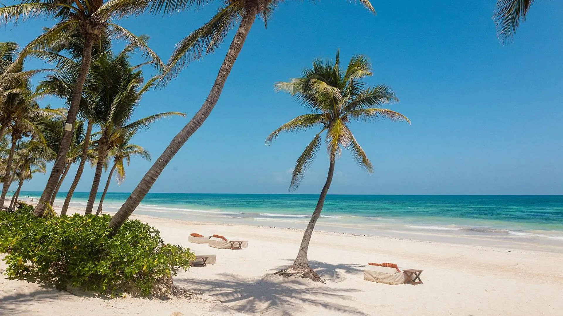 The Beach Tulum Hotel