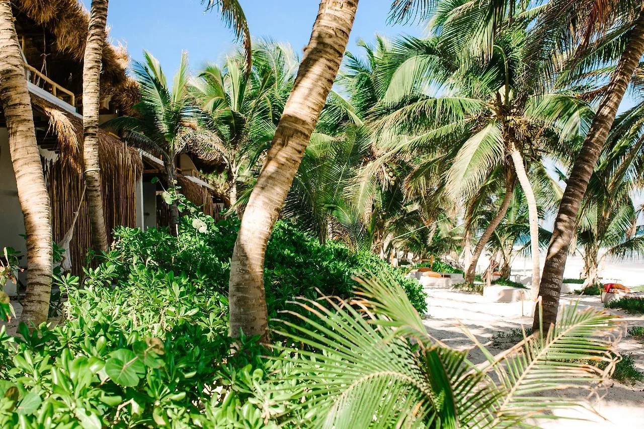 The Beach Tulum Hotel 5*,